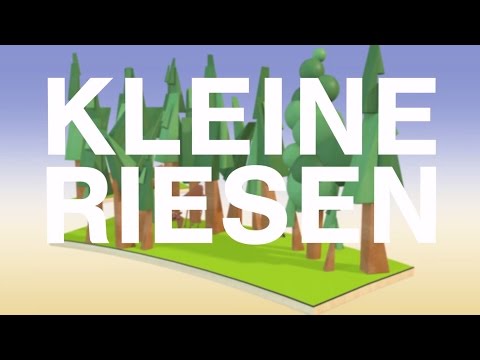 INSECT RESPECT - Kleine Riesen