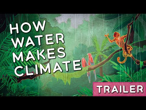 Water is Love | Water Cycle Animation | Trailer