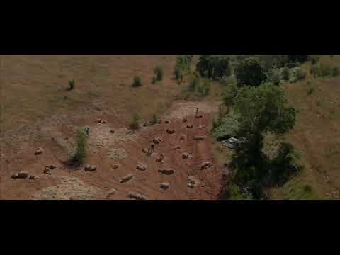 AGUA NA TERRA - TRAILER