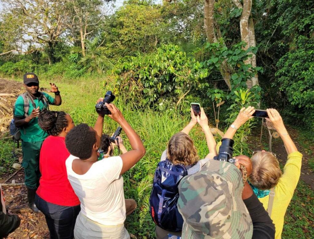 Ökotourismus in Bigodi, Uganda: Touristen beobachten Vögel und machen Fotos