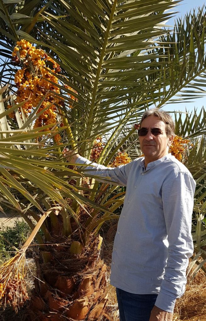 Sekem founder Helmy Abouleish in the Wahat Desert in front of a fig tree