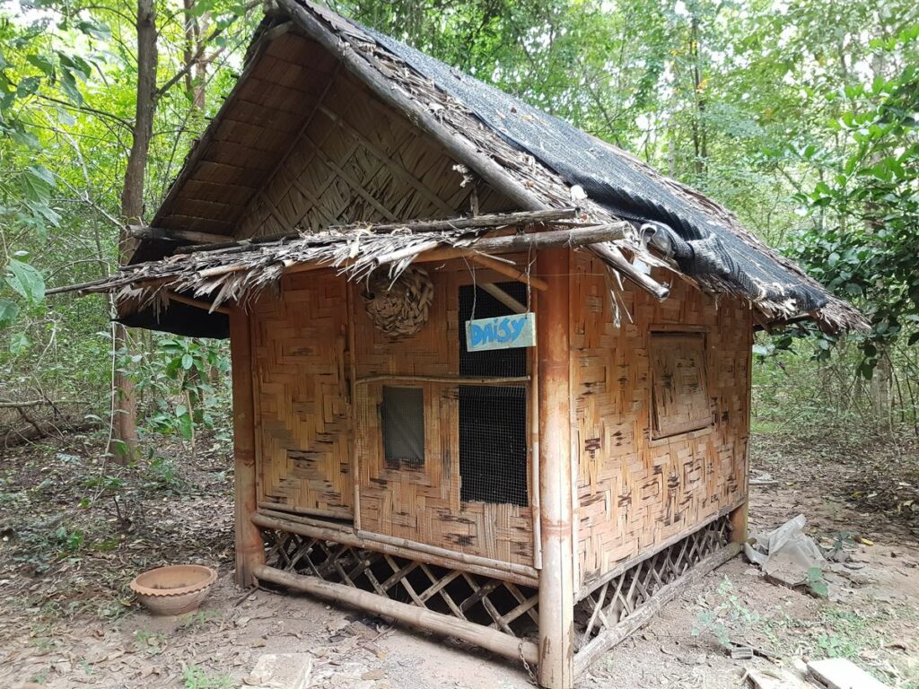 Bambushaus im Ökodorf von OurLand; wegen Elefanten geschlossen