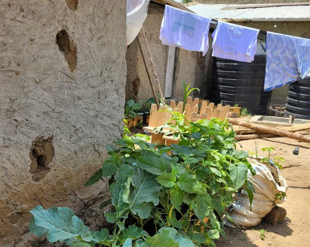 Permakultur-Garten mit grünen Pflanzen und Wäscheleine