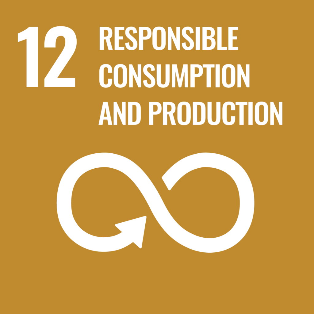 Logo SDG 12 responsible consumption and production: infinity sign with arrow; Sustainable Development Goals (SDGs)