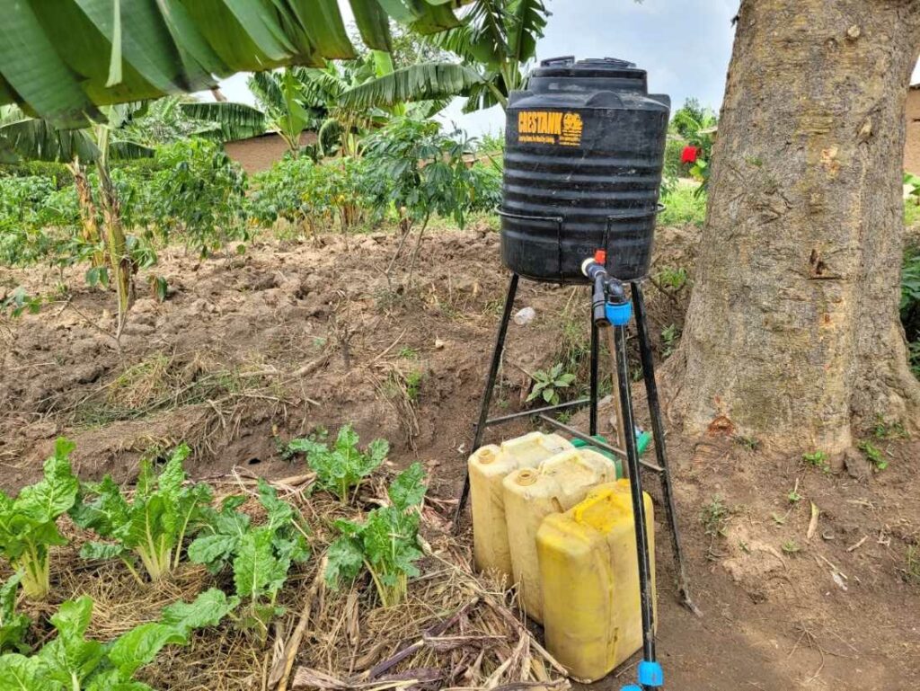 Die mobile Tropfbewässerung von YICE in einem Permakultur-Garten