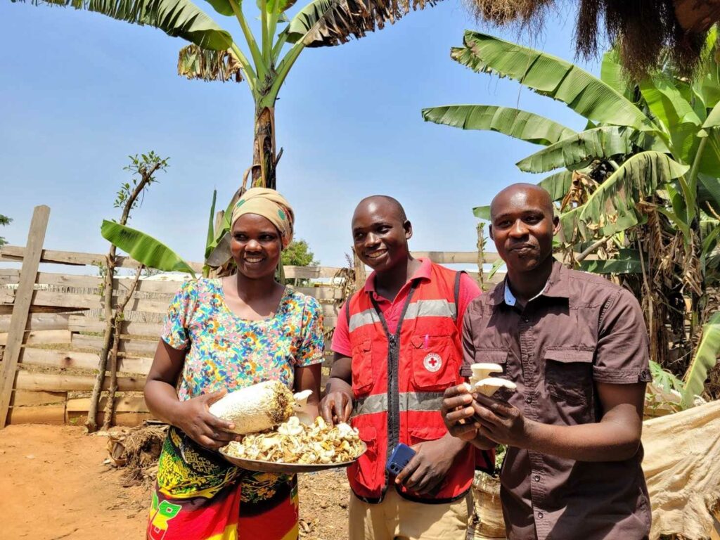 drei Personen aus einer Pilzproduktionsgruppe, die von der Rwamwanja Rural Foundation in der Flüchtlingssiedlung Rwamwanja in Uganda ausgebildet wurde