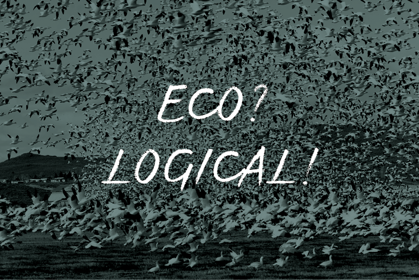 Ecological-Consulting-Tina-Teucher