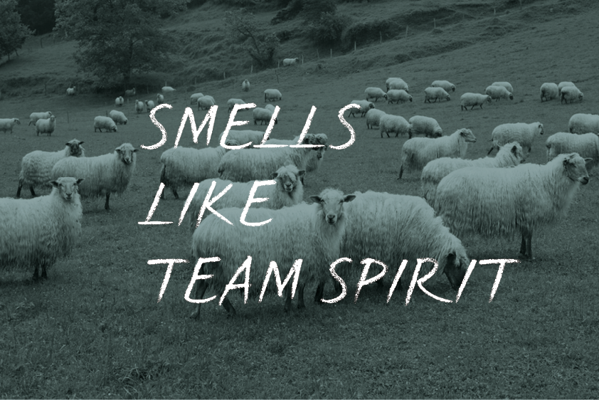 Impact Hub-Netzwerk für Vielfalt und Austausch Tina Teucher Smells like team spirit Schafe