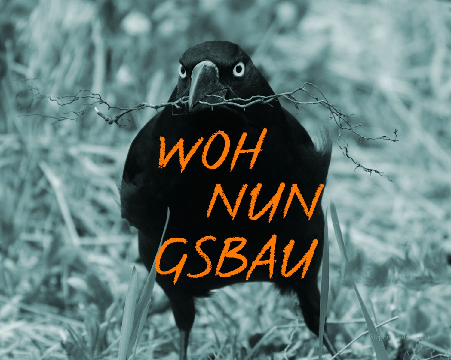 Vogel baut Nest; Wohnungsbau bei CONBAU Nord 2025; Text auf Bild: WOH NUN GSBAU