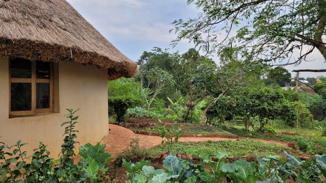 GenR Uganda Reise 2024; Besuch EcoMama; Community Garden