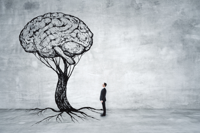 Ein Gehirn als Baumkrone, daneben steht ein Mann und blick hoch
