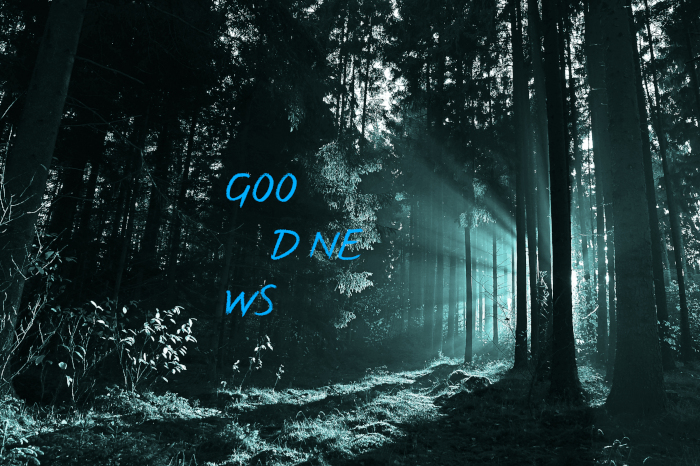 Sonne scheint durch Bäume hindurch. Text auf Bild: GOO D NE WS