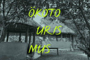 Hütten Mit Strohdach Im Dorf Bigodi, Uganda; Text: ÖKOT OURIS MUS
