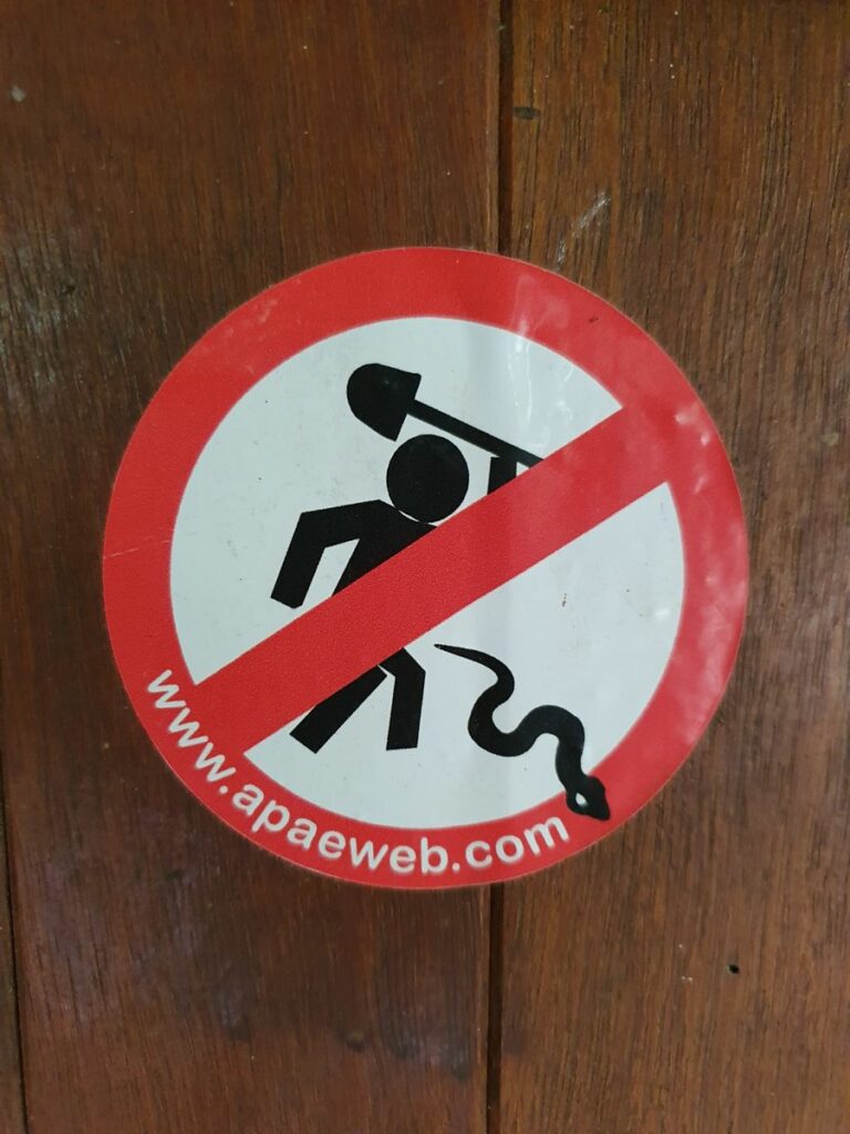 sign: "Don’t kill the snakes – rescue them.", OurLand Thailand: snake rescue center.