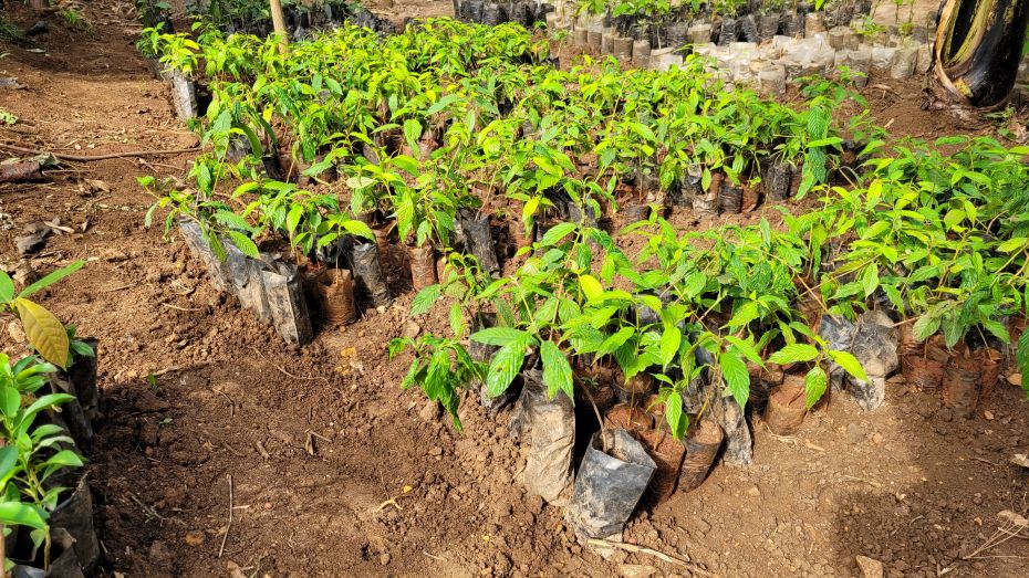 GenR: Hoffnung in Uganda - Tina Teucher