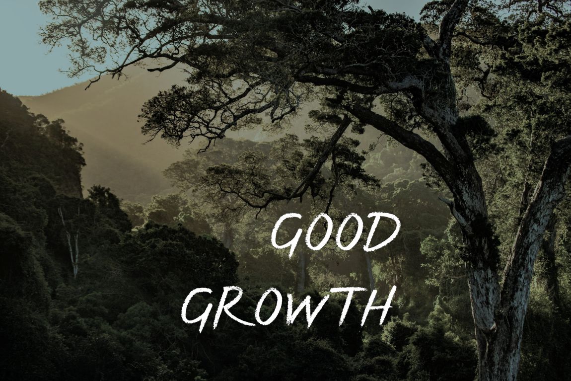 rainforest; text: GOOD GROWTH