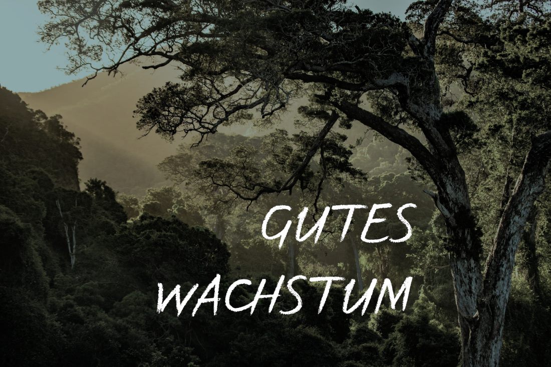 Hintergrund: Urwald, eingefärbt; Text: GUTES WACHSTUM, Vortrag über nachhaltiges Wirtschaftswachstum und regeneratives Wirtschaften
