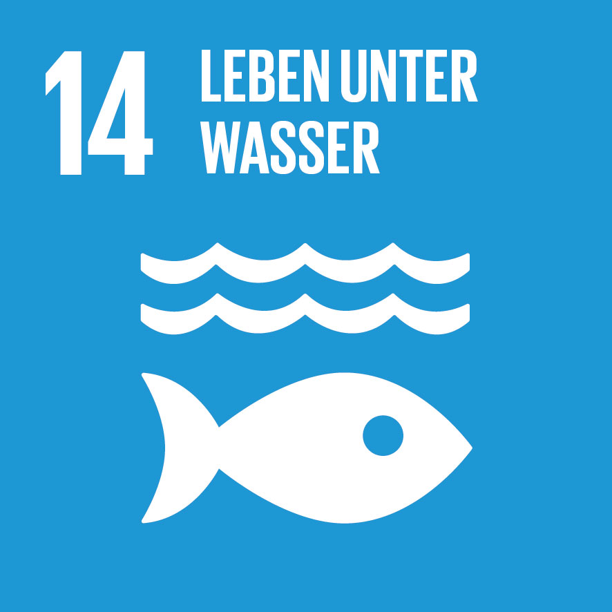 Logo SDG 14 Leben unter Wasser: Wellen und Fisch; Ziele für nachhaltige Entwicklung