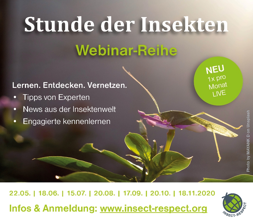 Stunde der Insekten. Webinar-Reihe. Lernen. Entdecken. Vernetzen. Tipps von Experten. News aus der Insektenwelt. Engagierte kennenlernen. 22. Mai. 18. Juni. 15. Juli. 20. August. 17. September. 20. Oktober. 18. November. Infos und Anmeldung auf www.insect-respect.org