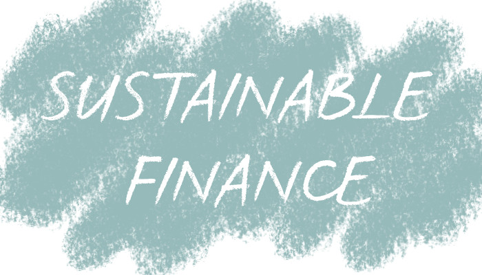 online event expo 9.3.21 Expertentalk: Sustainable Finance, Judith Bogner, Leonhard Zintl, Giovanni Gay, Tina Teucher, Text: Sustainable Finance
