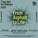 INSECT-RESPECT: Tag der Insekten 2025 – From Asphalt to Life