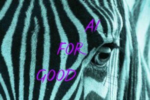 Nahaufnahme Auge eines Zebras. Text auf Bild: AI FOR GOOD