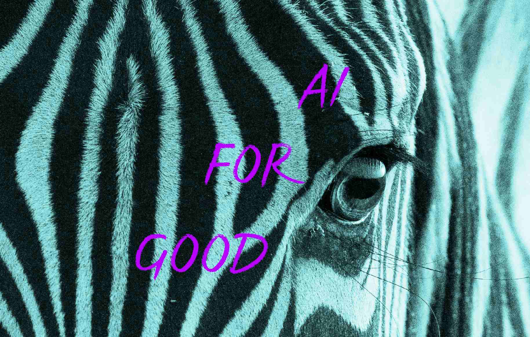 Nahaufnahme Auge eines Zebras. Text auf Bild: AI FOR GOOD