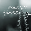 Die Stunde der Insekten ist gekommen!