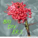 Biodiversität: ein Handbuch für Entscheider*innen