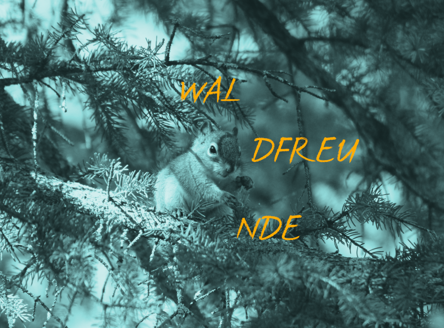 Eichhörnchen sitzt auf Nadelbaumzweig. Text auf Bild: WAL DFREU NDE