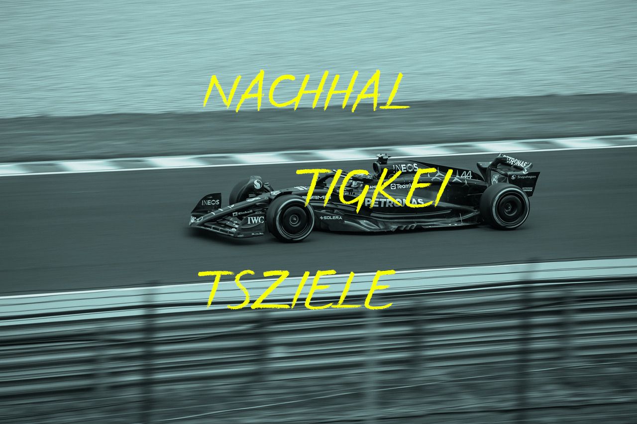 Rasendes Formel 1 Auto, Text auf Bild: NACHHAL TIGKEI TSZIELE