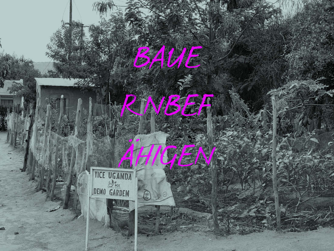 YICE Uganda Demo-Garten; Text: BAUE RNBEF ÄHIGEN